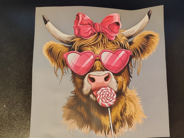 AN001 Animal Shirt Decal