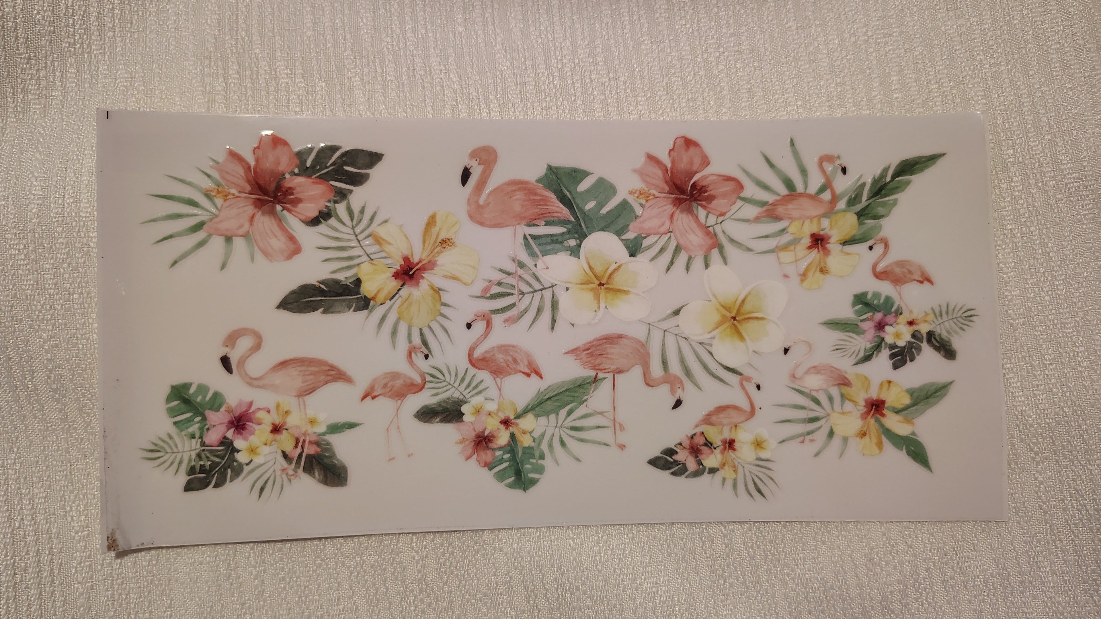 SE029 - Seasonal Cup Wrap